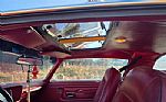 1976 Trans Am Thumbnail 9