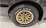 1981 Trans Am Thumbnail 11