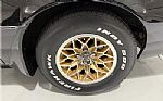 1981 Trans Am Thumbnail 12