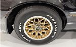1981 Trans Am Thumbnail 15