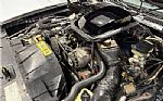 1981 Trans Am Thumbnail 28