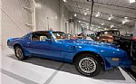 1978 Trans Am Thumbnail 16