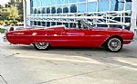 1966 Thunderbird Thumbnail 5