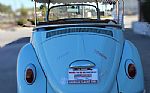 1968 Beetle Thumbnail 7