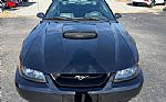 2002 Mustang Thumbnail 4