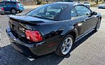 2002 Mustang Thumbnail 12