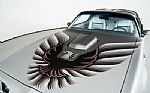 1979 Trans Am 10th Anniversary Thumbnail 6