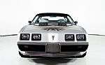 1979 Trans Am 10th Anniversary Thumbnail 4
