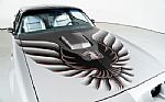 1979 Trans Am 10th Anniversary Thumbnail 19