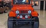 1981 Scrambler Thumbnail 10