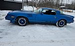 1979 Camaro Thumbnail 8