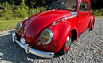 1963 Beetle Thumbnail 2