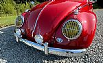 1963 Beetle Thumbnail 3