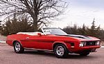 1973 Mustang Thumbnail 166