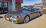 2001 Mustang SVT Cobra Thumbnail 3