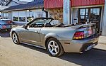 2001 Mustang SVT Cobra Thumbnail 2