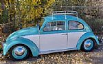 1961 Beetle Thumbnail 1