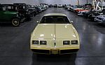 1980 Firebird YellowBird Thumbnail 2