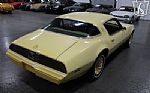 1980 Firebird YellowBird Thumbnail 7