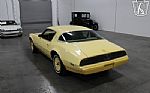 1980 Firebird YellowBird Thumbnail 5