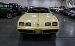 1980 Firebird YellowBird Thumbnail 10