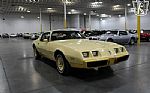 1980 Firebird YellowBird Thumbnail 17