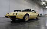 1980 Firebird YellowBird Thumbnail 19
