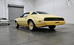 1980 Firebird YellowBird Thumbnail 21