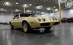 1980 Firebird YellowBird Thumbnail 25