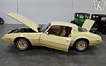 1980 Firebird YellowBird Thumbnail 28