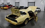 1980 Firebird YellowBird Thumbnail 31