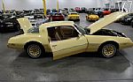 1980 Firebird YellowBird Thumbnail 32