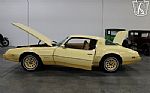 1980 Firebird YellowBird Thumbnail 36