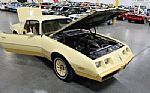 1980 Firebird YellowBird Thumbnail 33