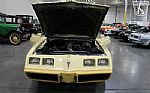 1980 Firebird YellowBird Thumbnail 34