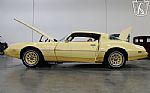 1980 Firebird YellowBird Thumbnail 44