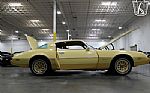 1980 Firebird YellowBird Thumbnail 48