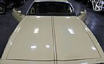 1980 Firebird YellowBird Thumbnail 51