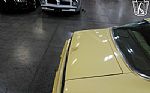 1980 Firebird YellowBird Thumbnail 60