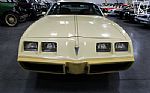 1980 Firebird YellowBird Thumbnail 65