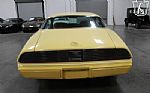 1980 Firebird YellowBird Thumbnail 71