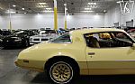 1980 Firebird YellowBird Thumbnail 73