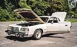 1978 Magnum XE Thumbnail 52