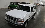 1992 Bronco XLT Thumbnail 3