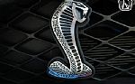 2010 Mustang Shelby GT500 Thumbnail 73