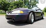 1996 Mustang SVT Cobra Thumbnail 4