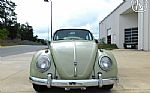 1960 Beetle Thumbnail 4