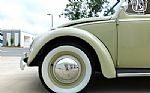 1960 Beetle Thumbnail 9