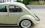 1960 Beetle Thumbnail 17