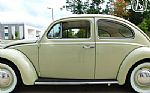 1960 Beetle Thumbnail 13